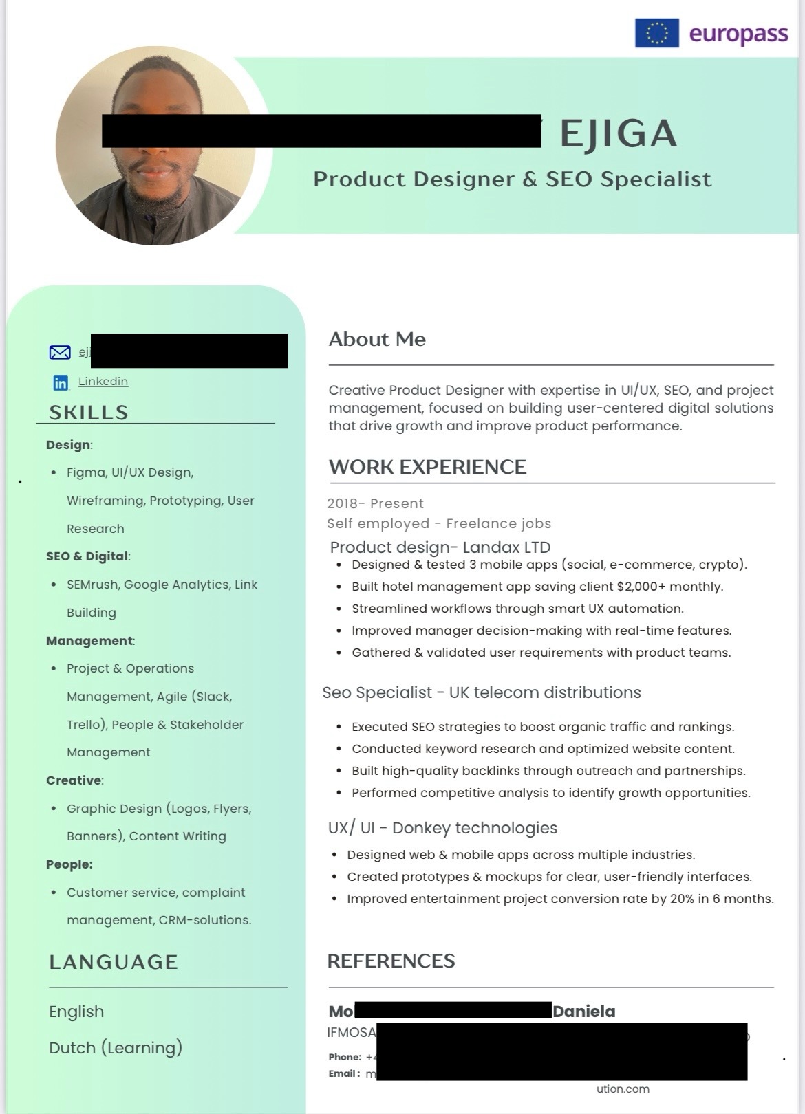 Professional CV Example